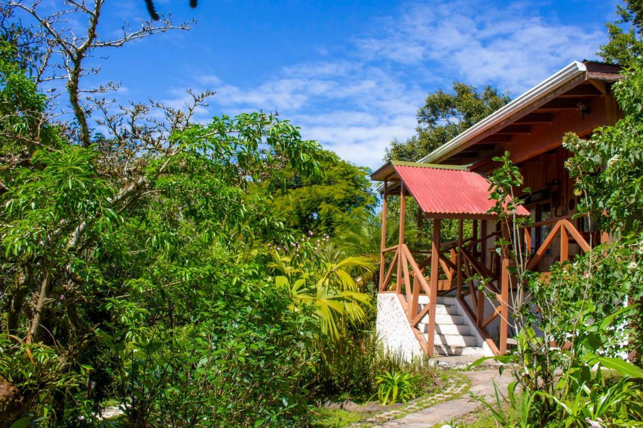 Hotel Holistico Monteverde Zewnętrze zdjęcie